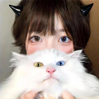 信蜂 封面