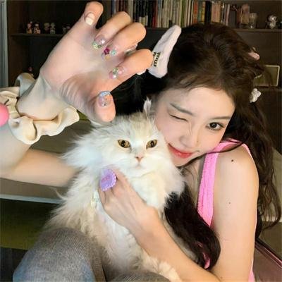 女骑士 封面