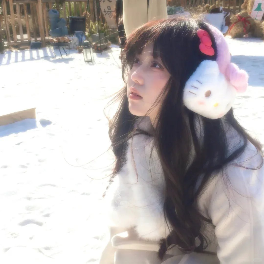 留给吾爱的日记 封面